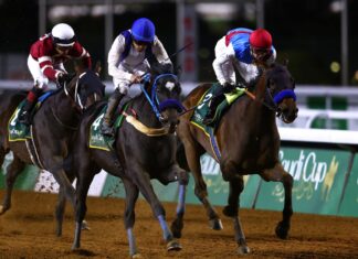 80/1 shock as Emblem Highway wins $20m Saudi Cup Emblem Road and Nigberto Ramos pull clear to land the $20m Saudi Cup in Riyadh