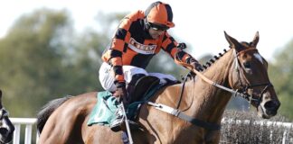 Brendan Powell riding Court Master (R) clear the last to win The Use The racingtv.com Tracker Handicap Chase at Warwick Racecourse, Warwick.