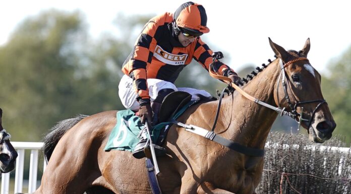 Eder Chase: The drying flooring is ready to assist the court docket grasp Brendan Powell riding Court Master (R) clear the last to win The Use The racingtv.com Tracker Handicap Chase at Warwick Racecourse, Warwick.