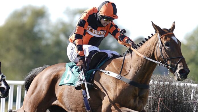 Eder-Chase-The-drying-floor-is-set-to-help-the.jpg Brendan Powell riding Court Master (R) clear the last to win The Use The racingtv.com Tracker Handicap Chase at Warwick Racecourse, Warwick.