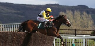 My Wings wins Eider award on historic day for Williams

