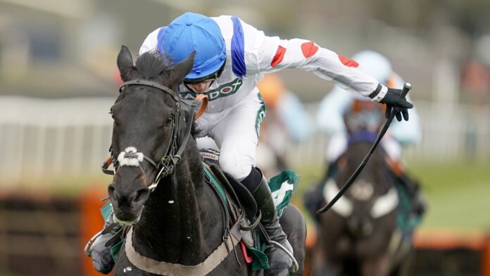Nichols-beamed-with-racing-Monmiral.jpg Monmiral won all four of his starts for Paul Nicholls last season
