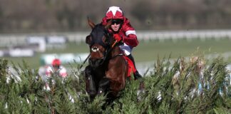 Six horses previously trained by Elliott won at this year's Cheltenham Festival, including two-time Grand National winner Tiger Roll
