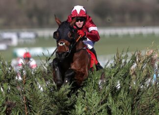O’Leary: Tiger Roll will retire after Cheltenham Competition Six horses previously trained by Elliott won at this year's Cheltenham Festival, including two-time Grand National winner Tiger Roll