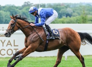 Winter Derby: A Runner’s Information to a Runner Lord North