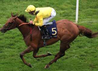 Addeybb all set to return to action in the summer