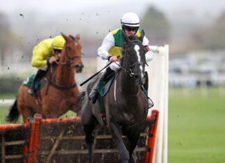Hillcrest not certain to run at Cheltenham Festival