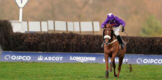 ASCOT, ENGLAND - DECEMBER 19: Harry Cobden riding Mister Malarky bypass the last fence to win The Good Luck Hollie In SPOTY Silver Cup Handicap Chase at Ascot Racecourse on December 19, 2020 in Ascot, England. Owners are allowed to attend if they have a runner at the meeting otherwise racing remains behind closed doors to the public due to the Coronavirus pandemic. (Photo by Alan Crowhurst/Getty Images)
