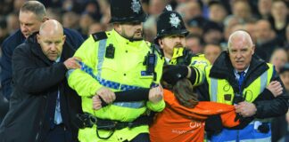 Everton fan