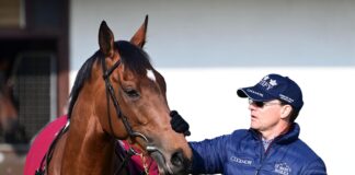 Aidan O'Brien is aiming Luxembourg at the 2000 Guineas before a possible shot at the Derby