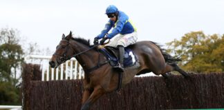Shan Blue running at Wetherby