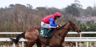Facile Vega winning in impressive fashion at Leopardstown.