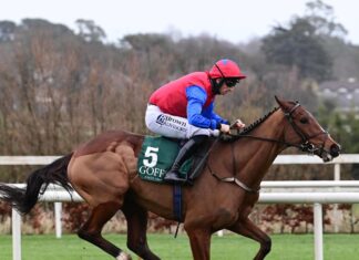 Alex Hammond: Two suggestions for the Cheltenham Competition day Facile Vega winning in impressive fashion at Leopardstown.