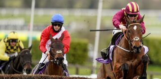 Minella Indo and Jack Kennedy landed the Gold Cup last year - can they repeat the trick in 2023?