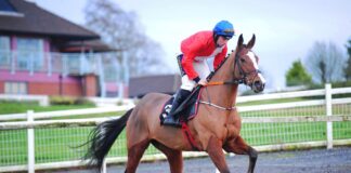 Sir Gerhard and Jamie Codd on their way to post at Navan
