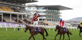Cheltenham Gold Cup: 13 left to attempt to get fortunate on the pageant Jack Kennedy wins the Cheltenham Gold Cup on Minella Indo