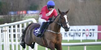 Sir Gerhard, ridden by Paul Townend, on his way to winning at Leopardstown