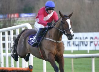 Sir Gerhard, ridden by Paul Townend, on his way to winning at Leopardstown