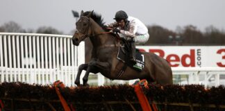 Constitution Hill is as short as 2/1 for the Supreme Novices' Hurdle after Tolworth Hurdle victory