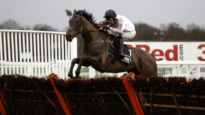 Constitution-Hill-and-Junbons-attempt-to-give-Britain-a-head.jpg Constitution Hill is as short as 2/1 for the Supreme Novices' Hurdle after Tolworth Hurdle victory
