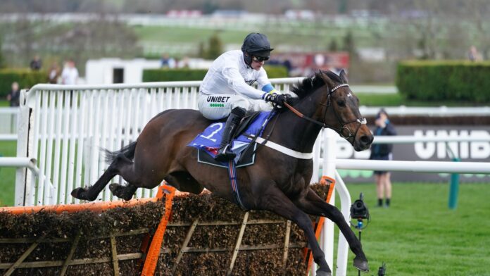 Constitution-Hill-will-give-the-option-to-the-Punchestown-Champion.jpg Constitution Hill will give the option to the Punchestown Champion