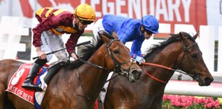 MELBOURNE, AUSTRALIA - OCTOBER 23: John Allen riding State of Rest defeats Craig Williams riding Anamoe in Race 9, the Ladbrokes Cox Plate, during Melbourne Racing on Cox Plate Day at Moonee Valley Racecourse on October 23, 2023 in Melbourne, Australia. (Photo by Vince Caligiuri/Getty Images)