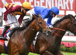 Cox Plate hero State Of Relaxation prepares for the massive season close to dwelling MELBOURNE, AUSTRALIA - OCTOBER 23: John Allen riding State of Rest defeats Craig Williams riding Anamoe in Race 9, the Ladbrokes Cox Plate, during Melbourne Racing on Cox Plate Day at Moonee Valley Racecourse on October 23, 2023 in Melbourne, Australia. (Photo by Vince Caligiuri/Getty Images)