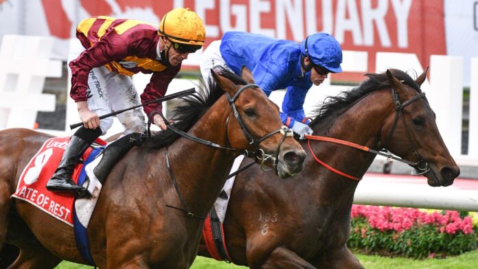 Cox-Plate-hero-State-Of-Rest-prepares-for-the-big.jpg MELBOURNE, AUSTRALIA - OCTOBER 23: John Allen riding State of Rest defeats Craig Williams riding Anamoe in Race 9, the Ladbrokes Cox Plate, during Melbourne Racing on Cox Plate Day at Moonee Valley Racecourse on October 23, 2023 in Melbourne, Australia. (Photo by Vince Caligiuri/Getty Images)