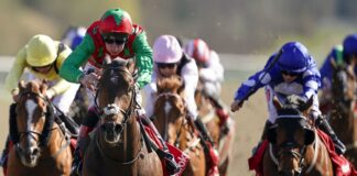 Lingfield winner Diligent Harry could line-up in the Commonwealth Cup