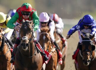 Cox hopes the hardworking Harry can spend his day in Doncaster Lingfield winner Diligent Harry could line-up in the Commonwealth Cup