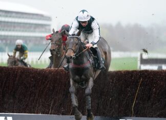 Deutsche and Loom Press’ voyage to brown advisory glory L'Homme Presse jumps all the way from the front to win the Brown Advisory Novices' Chase at Cheltenham