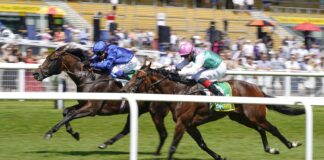 Real World beats Derab in the Bet365 Stakes at Newbury in July