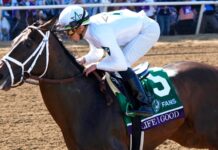Dubai World Cup: The 5 Teleki will observe Irad Ortiz Jr. rides Life is Good to victory in the Breeders' Cup Dirt Mile