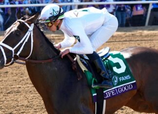 Dubai World Cup: The 5 Teleki will observe Irad Ortiz Jr. rides Life is Good to victory in the Breeders' Cup Dirt Mile
