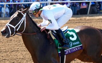 Irad Ortiz Jr. rides Life is Good to victory in the Breeders' Cup Dirt Mile