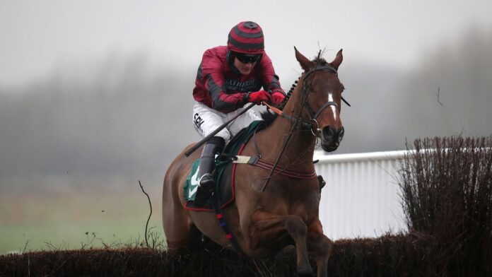 Eclair-Surf-will-be-saved-for-Grand-National-options.jpg Eclair Surf