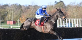 Energumene and Sean O'Keeffe win the Kerry Group Hilly Way Chase at Cork