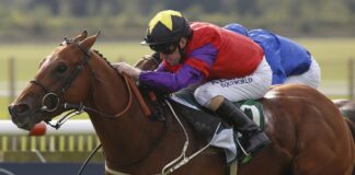The Last Lion ridden by Joe Fanning