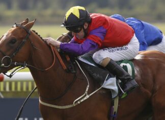Fanning pays tribute to ‘Gentleman’ the final lion The Last Lion ridden by Joe Fanning