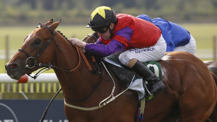 Fanning-pays-tribute-to-Gentleman-the-last-lion.jpg The Last Lion ridden by Joe Fanning