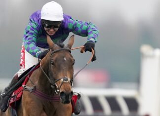 Options of Cheltenham Pageant Runner: Impediment survival Thyme Hill