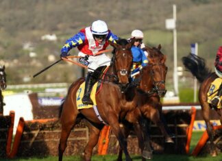 Fehily is already dreaming of extra glory on the competition with Love Envoi Love Envoi on his her way to victory in the Mares' Novices' Hurdle