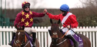 Minella Indo and A Plus Tard after finishing first and second in the Cheltenham Gold Cup
