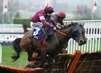 Fitzgerald shines because the captain hits the Coral Cup subject Commander Of Fleet and Fastorslow battle it out over the last in the Coral Cup