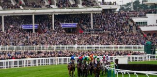 Gaelic Warrior leads the Boodles field away from the stands at the Cheltenham Festival