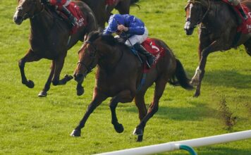 5 horses will comply with the Flat 2023 marketing campaign NEWMARKET, ENGLAND - OCTOBER 09: William Buick riding Coroebus (blue) win The Emirates Autumn Stakes at Newmarket Racecourse on October 09, 2023 in Newmarket, England. (Photo by Alan Crowhurst/Getty Images)