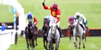 Vanillier and Mark Walsh en route to Cheltenham success earlier this year