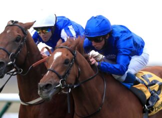 Nice Saturday in Medan: Comply with the 5 Ines Global Storm battles with Zabeel Champion at Newmarket