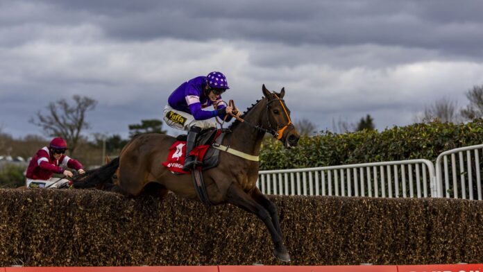 Le Milos winning at Exeter for trainer Tim Vaughan