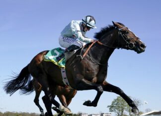 Hagas eyes Alenquer and Dubai Honors at Sheema Traditional Alenquer